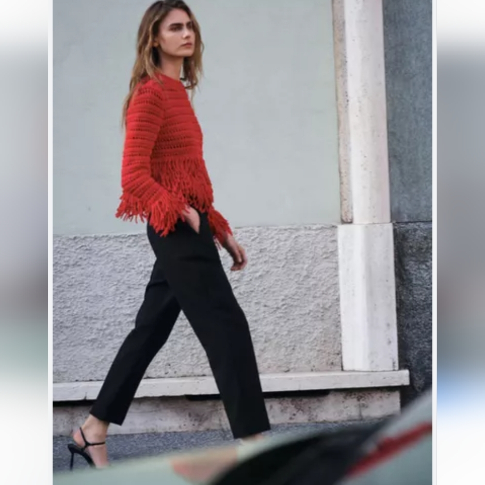 BNWT! Zara fringed knit sweater